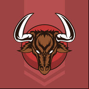 RageBull